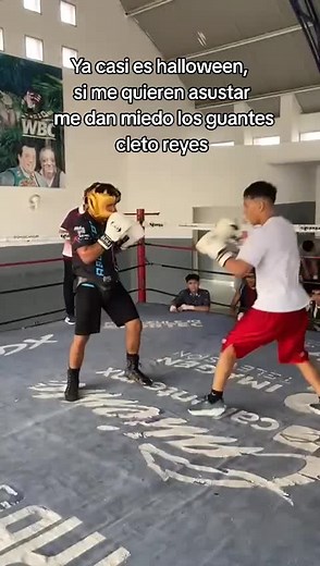 Boxing Passion: Unleashing the Fighter Within