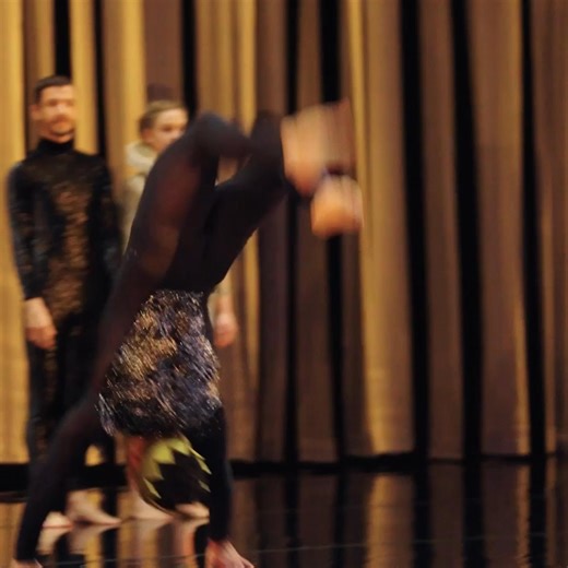 116K views | Stunts, sequins, flippers, feathers. Experience Swan Lake like never before. | Sydney Opera House | Facebook