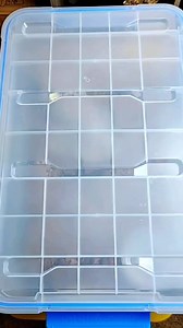 22K views · 423 reactions | Meet one of our newest snakes. The coastal taipan. One of the most venomous snakes in the world | Venomman20 | Facebook