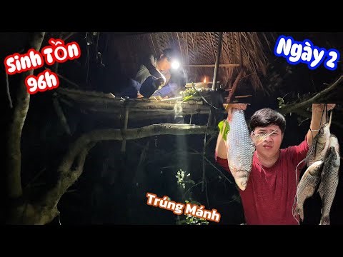 Sinh Tồn 96h Trên Sông Ku Đen Trúng Bầy Cá sông Siêu Nhiều Làm Bếp Trên Cây | Ngày 2 #survival