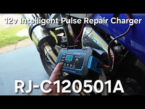 12v Intelligent Pulse Repair Charger RJ Tianye Cómo Usar.