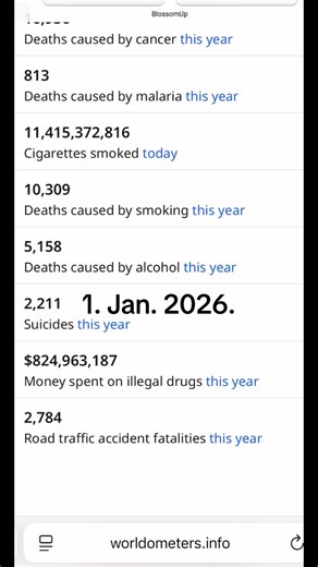 ⚠️PLEASE READ⚠️Happy new year, my scalies. I’m so sorry for anyone who’s struggling right now, my DMs are always open for anyone who needs to vent, or seek advice. However please remember I’m a person too and I struggle too, so don’t be angry if I take too long to reply