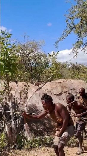 Hadzabe Hunters Using Bow & Arrow to Hunt Monkeys | African Wilderness Life. #Hadzabe #AfricanTribe