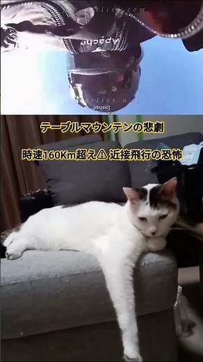 【衝撃映像】時速190kmで山に激突…ウイングスーツ最悪の墜落事故 FIVEニャンズ🐾 #おすすめ #shorts