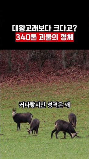 Bigger than a blue whale? The identity of this 340-ton monster.