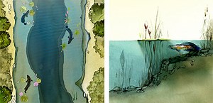 How To Catch Snakehead Fish