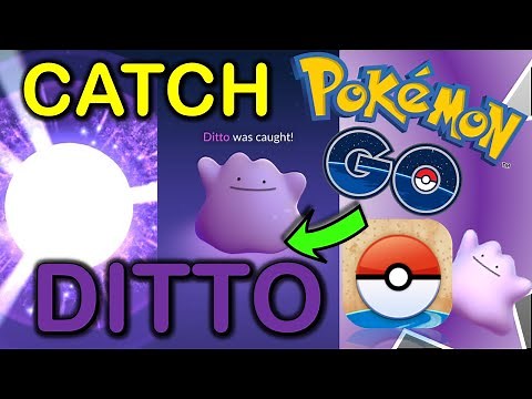 How to catch Ditto in Pokemon GO ✅ FULL TUTORIAL ✅ Catch Ditto on ANY device in 2024