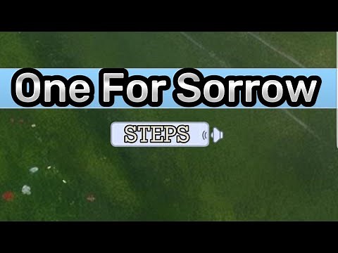 Steps =One FOR SORROW= (Lyrics)