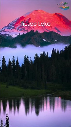 Tipsoo Lake 🌸🏔️ #deluxeholidays #travelwithdeluxe #sabkuchshamilhai