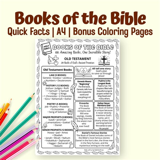 Books of the Bible Facts Sheet for Kids | A4 Printable PDF | Old & New Testament Activity - Etsy