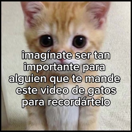 Dedica un video especial a tu persona favorita