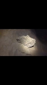 A large coral fossil that we came across deep inside this Tennessee cave. #fossils #Tennessee | TAG Caver