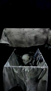 5.2K views · 2.7K reactions | Don’t let granny catch you trying to sneak out of bed to look under the tree before morning tonight! | POISON PROPS | Facebook