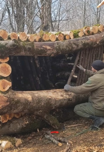Building a Shelter in a Fallen Tree: Bushcraft Techniques