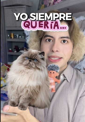 Siempre quise un GATO PERSA 🥹bienvenida a la familia Charlotte Serafina 🩶🐈🫧 #gatopersa #catsoftiktok #Viral #gatitos #DALIKA
