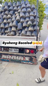 Byaheng Bacolod🥰😘🥰😘Thankyou po | Anastacia Fruit Bearing Trees