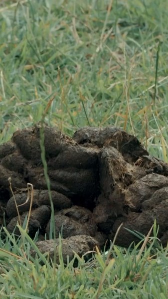 Biggest and Best Dot to Dot Picture Challenge