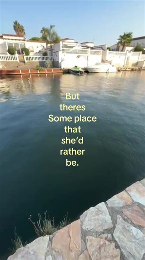 Longing for Spain: A Heartfelt Reflection