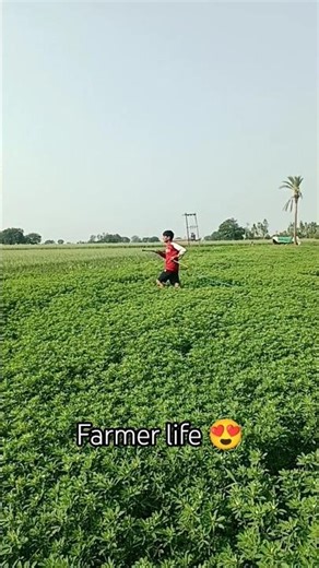 farmer life 😍#youtubeshorts #shortsfeed #farming #farmer #farming #stragal
