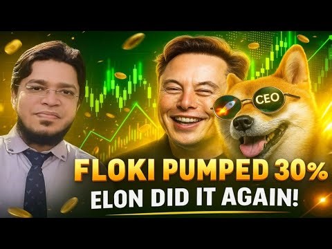 Elon Musk’s Tweet Pumps FLOKI INU 30%! Is This the Start of the Next 100x Meme Coin Rally?
