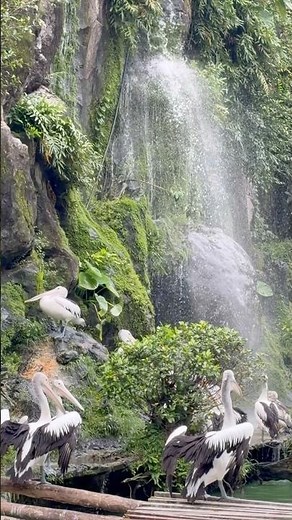 Ragunan Zoo Jakarta