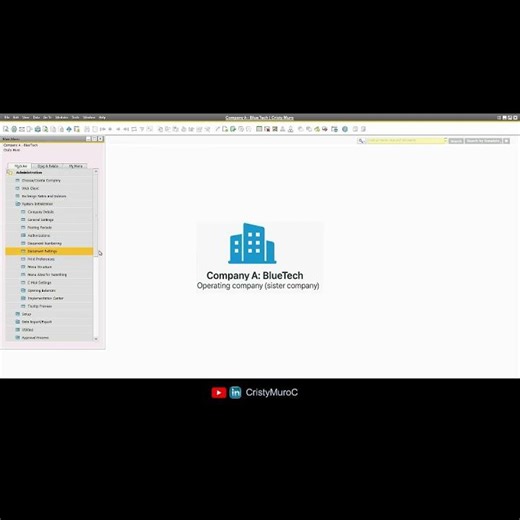 Default Price Lists for Goods Receipt and Goods Issue in SAP Business One