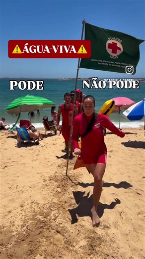 🌊 *ÁGUA VIVA* – E AGORA, O QUE FAZER? 🤔⚠️ 🚫 NÃO tente puxar os tentáculos! 🏃‍♂️ Saia da água imediatamente! 🌊 Lave com *água do mar* para remover o máximo dos tentáculos! ❄️ Use *água do mar gelada* para aliviar a dor! 🚱 *NUNCA* use água doce – pode piorar! 🍶 Banhe a área com *vinagre (ácido acético 5%)* por 10 min! 🚫 Não esfregue com toalha ou areia! ✋ Remova os tentáculos com *luva e pinça*! 🔁 Lave de novo com água do mar vinagre por 30 min! 📞 Ligue 193 ou 192 se houver: 😵 Desorient