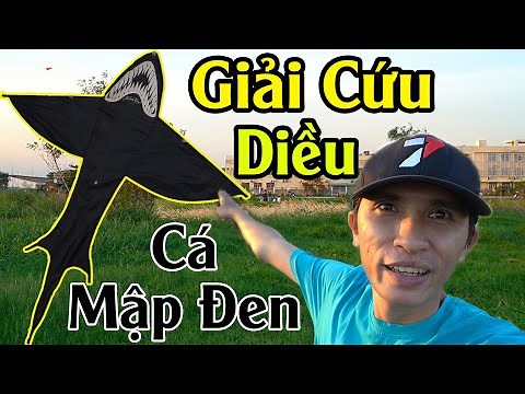 THẢ DIỀU CÁ MẬP ĐEN - Làm Diều Cá Mập Bay Cao
