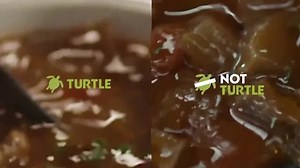 This AI 'turtle' soup is helping the endangered species