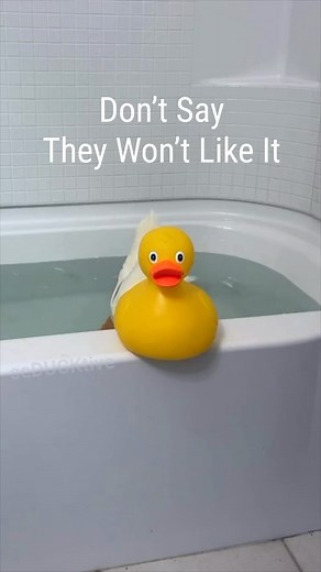 Wrinkle the Duck 廉✨ on Instagram: "Don’t Be Shy Duck This is a clip from one of our live streams You can check us out Live on YouTube & Twitch @seducktive Quack, quack Wrinkle the Duck #wrinkletheduck #seducktive #affirmations #dontgiveup #keepgoing #believe #believeinyourself #cuteness #shy #duck #cute #ducks #selflove #youareenough #youarebeautiful #motivation #inspiration #love"