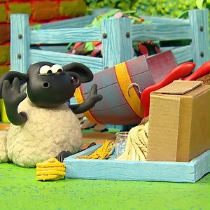 76K views · 4.3K reactions | Always look after your furry friends!  | Timmy Time | Facebook