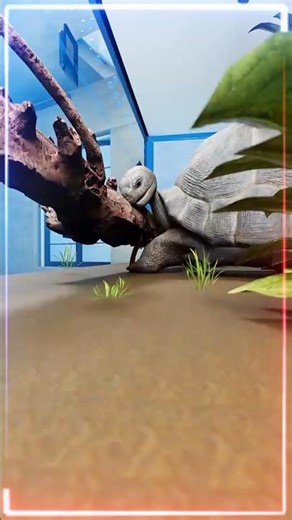 This Tortoise Got a 3D-Printed Wheel — and It Changed Everything 🐢😲