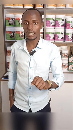 Preparing your cows for higher yields using the 4 phases that can be highly effective, this phases focus on preparing cows systematically optimize health, nutrition and management for higher milk production | Dairyverse