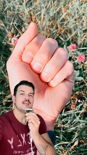 Comprei joaninhas 🐞 #joaninhas #inseto #plantas # | EiNikolas