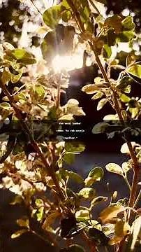 "Samba: The Heartbeat of Brazil's Cultural Dance"