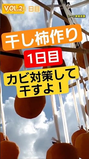 干し柿作り1日目始めのカビ対策！vol.2ギュッと凝縮版《しーの家庭菜園＊干し柿》！