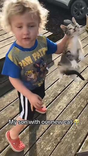 2.5K views · 36 reactions | Pets and Animals on Reels | Facebook