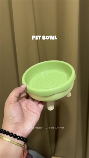 Creative Pet Bowl Ideas for Your Dog