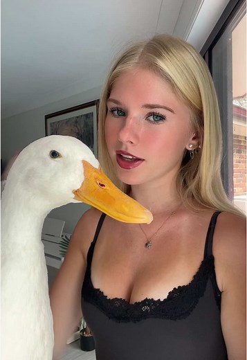 Delightful Duck Videos: Adorable Ducklings in Action