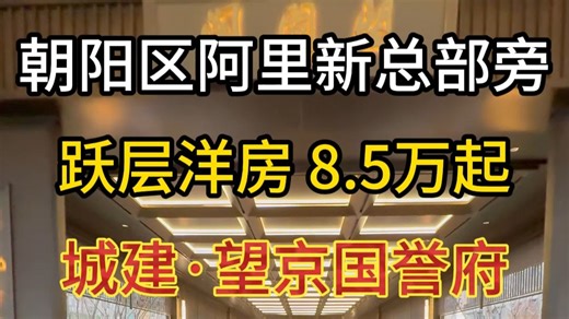 望京北低密平墅均价8.6万四居室国企开发