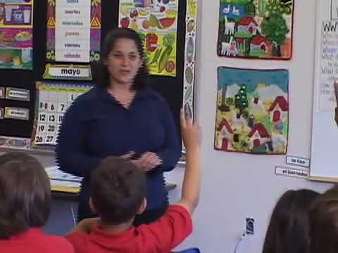 Learning Strategies: Developing Background Knowledge