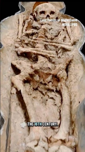 The mystery tomb under Notre Dame #mystery #notredame #tomb