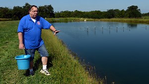 Local prawn farm prepares for harvest