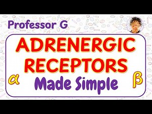 Adrenergic receptors explained