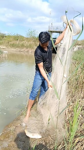 46 reactions · 20 comments | Small-scale fishing.ពេញលេងហើយចូលមេបឹងមួយ #ពលករកូរ៉េ #ពលករស្រុកគេ #fbreelsfypシ゚viralシ #fbreelsfypシ゚ #mmo #mmoដៃថ្មី #MMOmevabe | Vicheth Nget | Facebook
