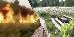 AI Video Editor Dreamix Brings Generated Video Closer to Reality