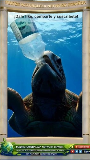 Ocean plastic crisis: a silent disaster 🌊🗑️ #Plastic #Ocean #Crisis
