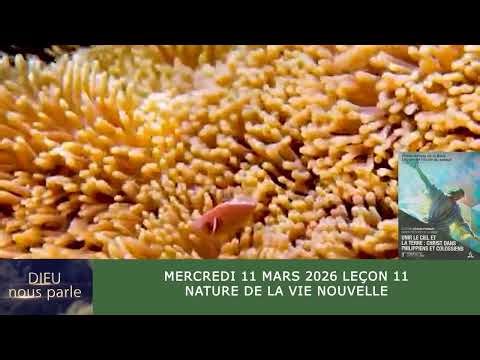 Leçon 11 : Questionnaire adultes, Mercredi 11 Mars 2026, Nature de la vie nouvelle