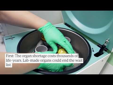 Lab-Grown Livers: 3 Ways They're Changing Medicine