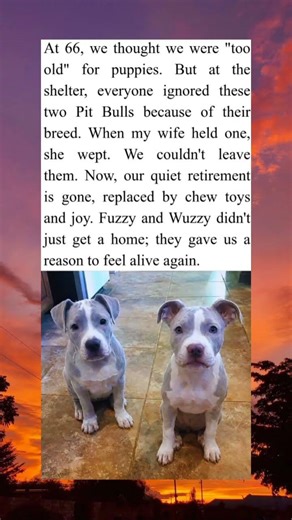 Fuzzy and Wuzzy Were Ignored…Not By Them 🐾❤️